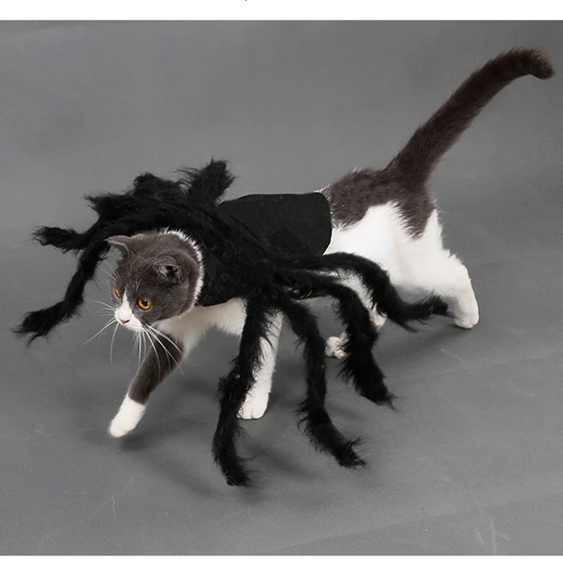 NONOR Halloween Dog Cat Clothes Pet Cosplay Funny Spider Costume Halloween Party Costumes for Small Medium Dog Cat Costumes Festive Paws