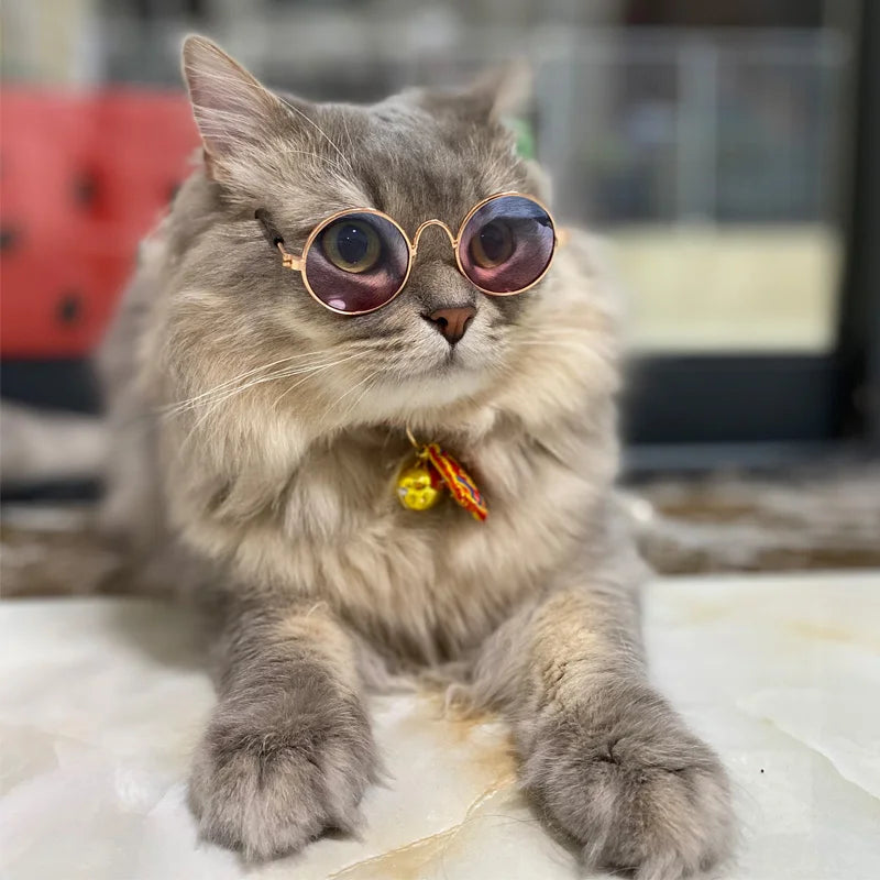 Vintage Round Cat Sunglasses Reflection Eyewear Glasses Pet Products for Dog Kitten Dog Cat Accessories for Small Dogs Festive Paws