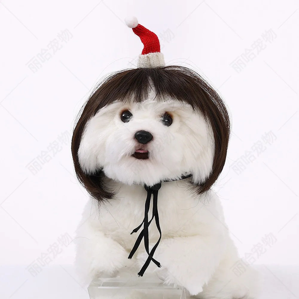 Creative Funny Pet Wig Bob Head with Neat Bangs Cosplay Costume Props Cute Dress Up Headwear for Small Dog Cat Party Use Festive Paws