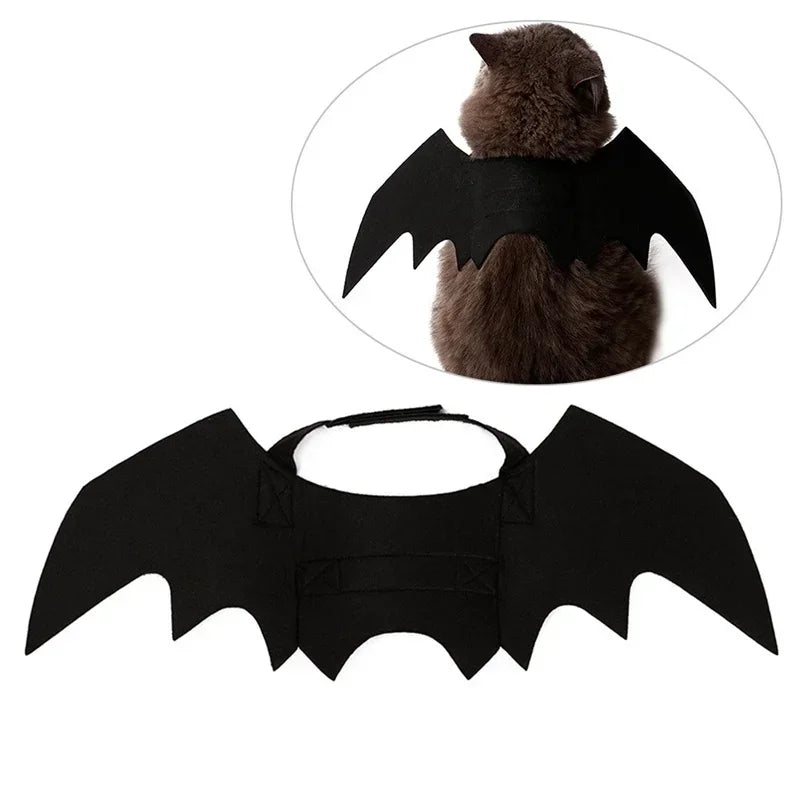 Black Bat Wings Pet Festive Paws