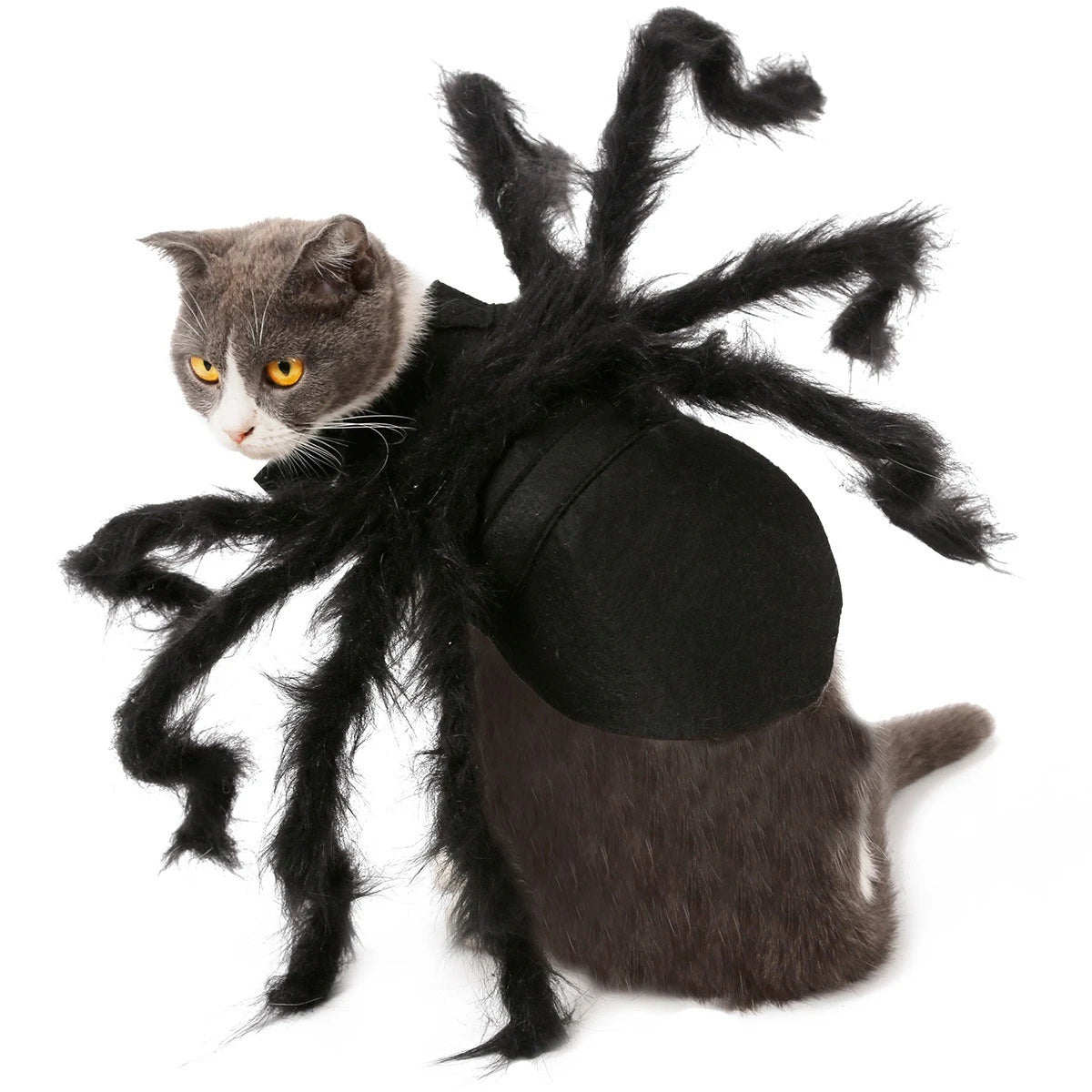 NONOR Halloween Dog Cat Clothes Pet Cosplay Funny Spider Costume Halloween Party Costumes for Small Medium Dog Cat Costumes Festive Paws