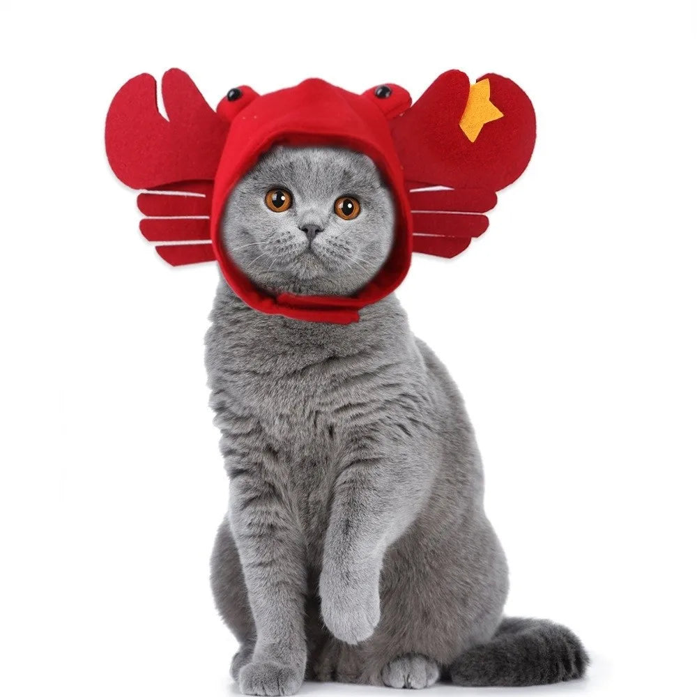 Lobster Hat For Cat