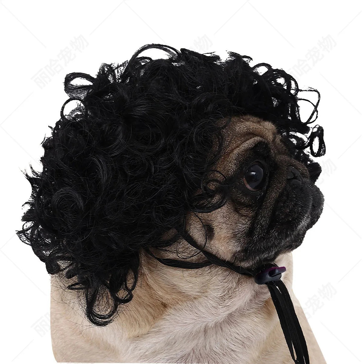 Creative Funny Pet Wig Bob Head with Neat Bangs Cosplay Costume Props Cute Dress Up Headwear for Small Dog Cat Party Use Festive Paws